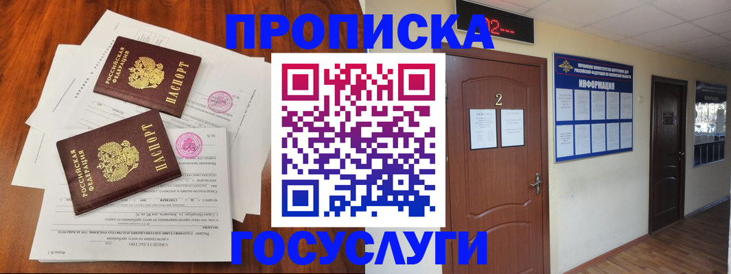 прописка законно в Сольцах